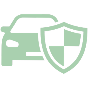 Program Icon