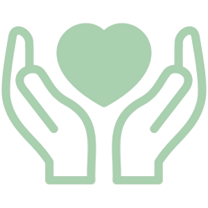 Program Icon