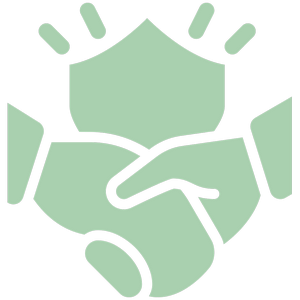 Program Icon
