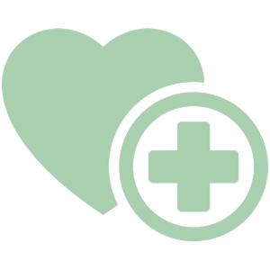 Program Icon