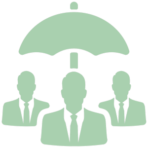 Program Icon